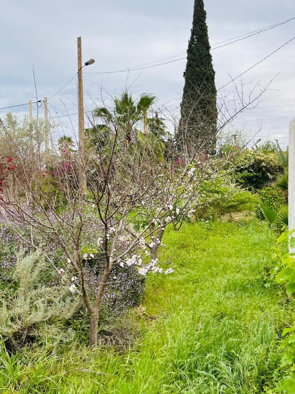 Villa Le Jasmin Oulad Bou Abdallah Dış mekan fotoğraf