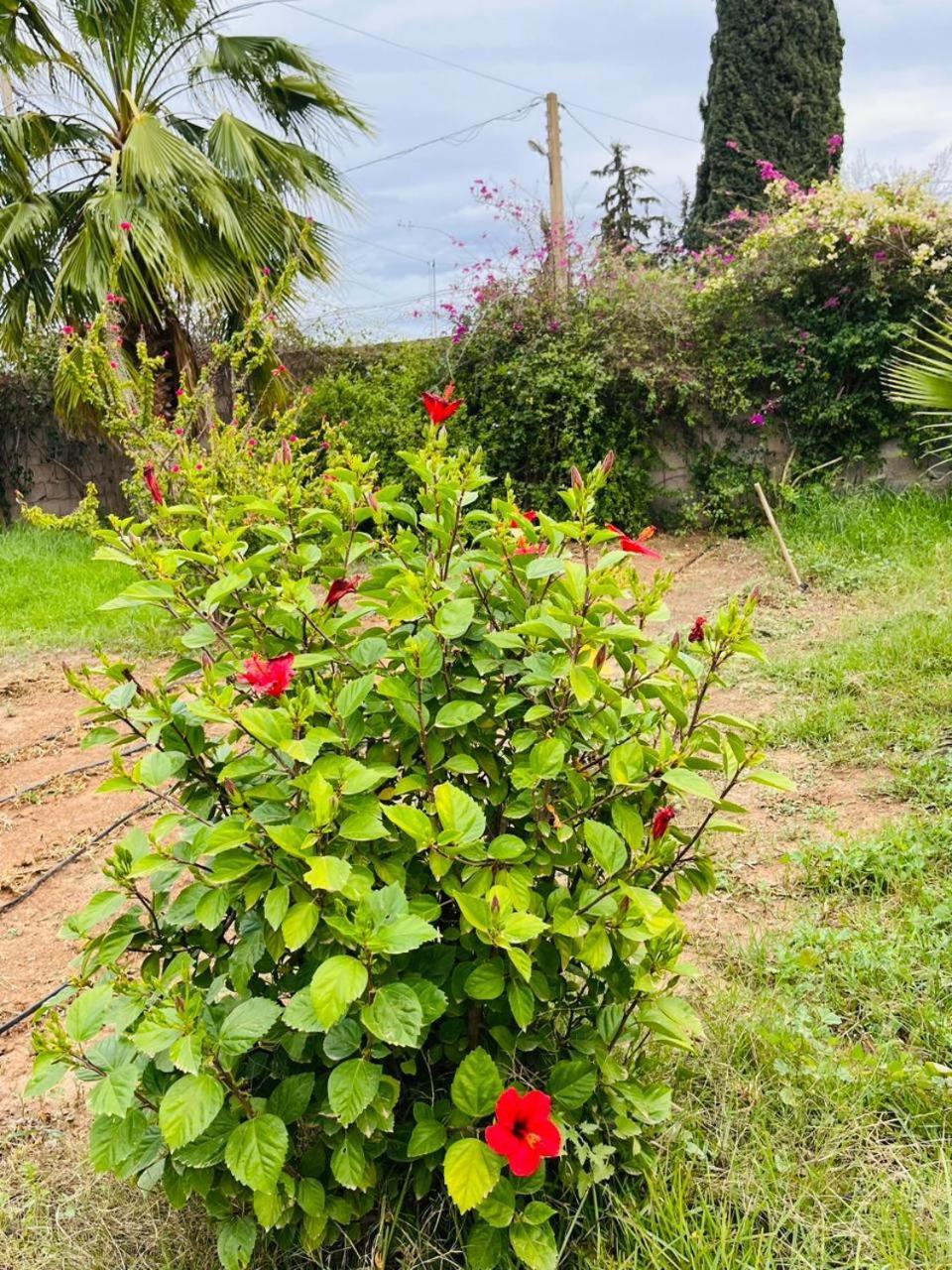 Villa Le Jasmin Oulad Bou Abdallah Dış mekan fotoğraf