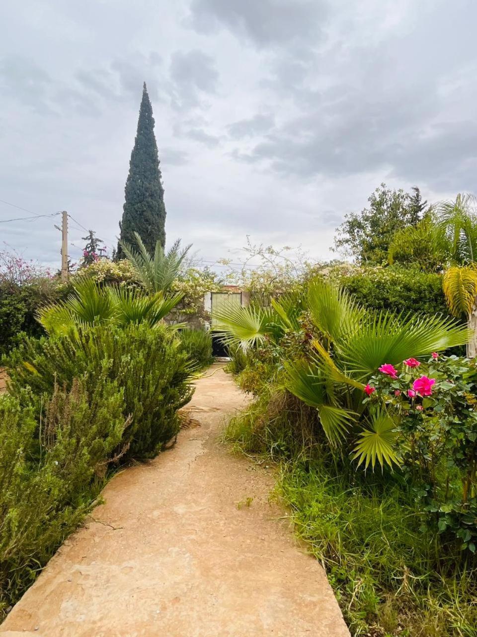 Villa Le Jasmin Oulad Bou Abdallah Dış mekan fotoğraf