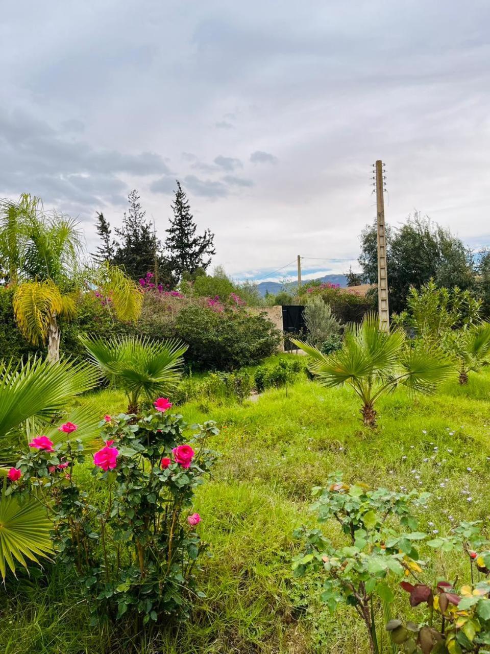 Villa Le Jasmin Oulad Bou Abdallah Dış mekan fotoğraf