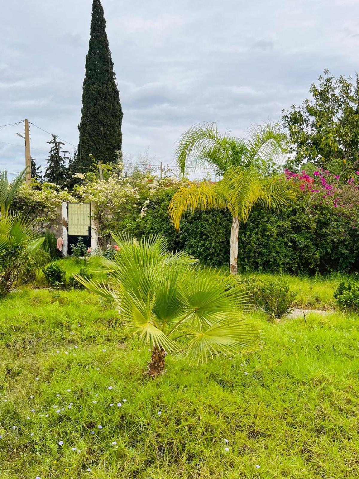 Villa Le Jasmin Oulad Bou Abdallah Dış mekan fotoğraf